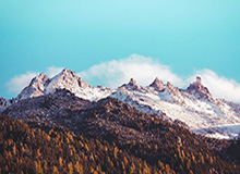 8868体育平台：让热爱变成日常的全新体育体验