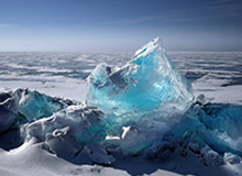 8868体育平台：让热爱变成日常的全新体育体验